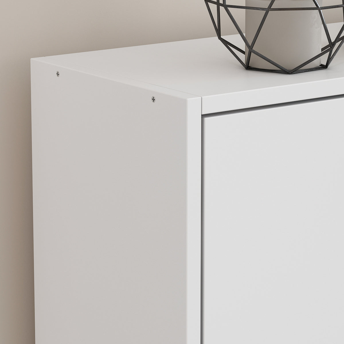 Shoe Cabinet with 2 Flip Drawers for Entryway Modern Shoe Storage Cabinet